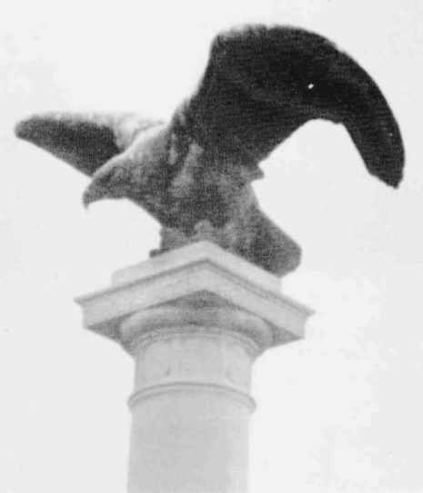 Eagle.jpg - 9960 Bytes